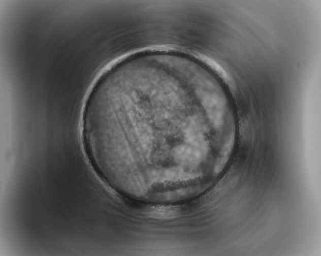 X0000093511327200711091714