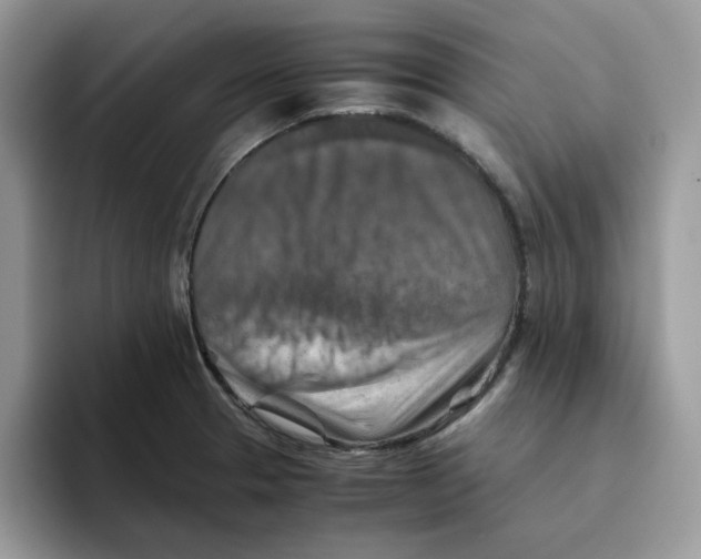 X0000093511329200711091714