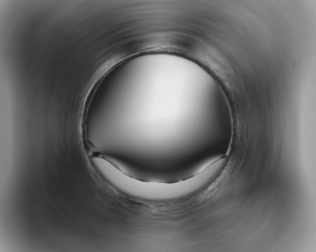 X0000093511330200711091714