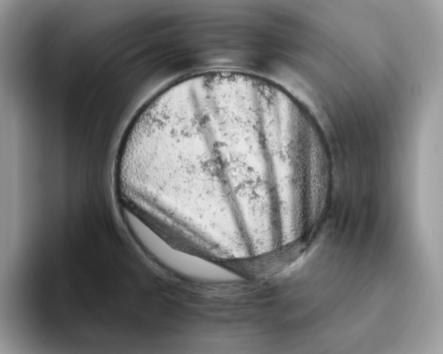 X0000093511333200711091714