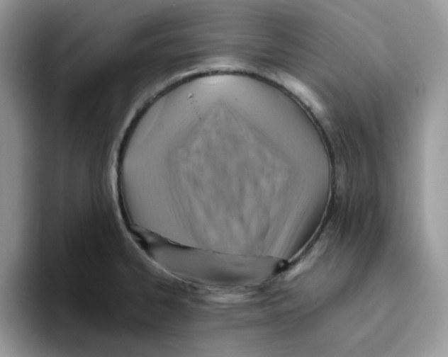 X0000093511334200711091714