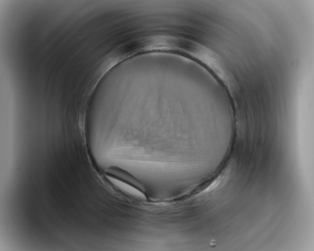 X0000093511337200711091714