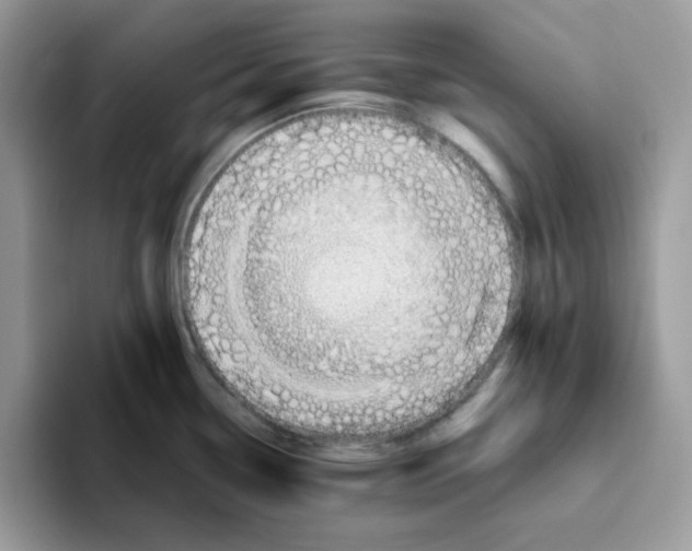 X0000093511338200711091714