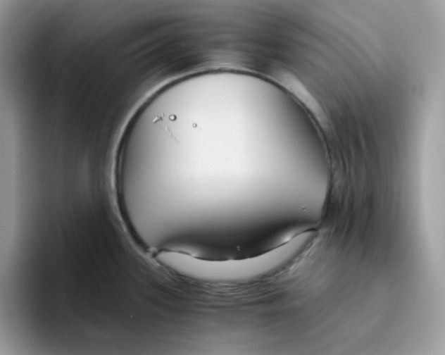 X0000093511339200711091714