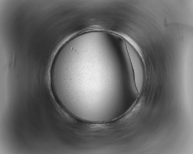 X0000093511341200711091714