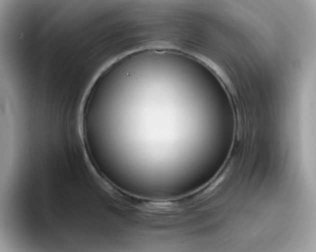 X0000093511342200711091714