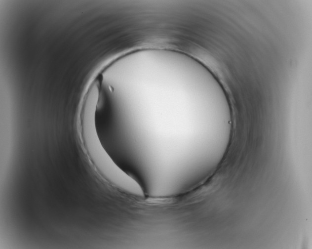 X0000093511344200711091714