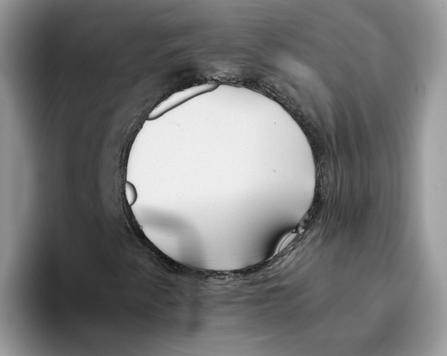 X0000093511345200711091714