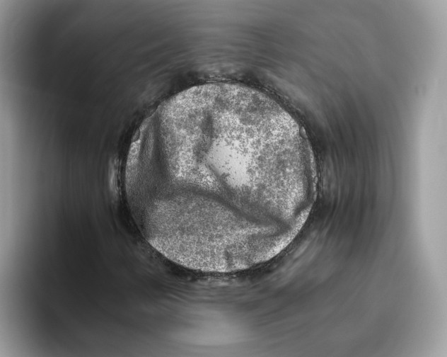 X0000093511346200711091714