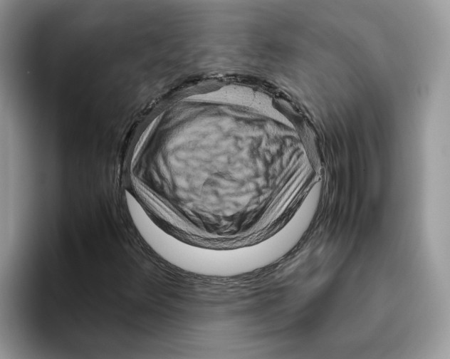 X0000093511348200711091714