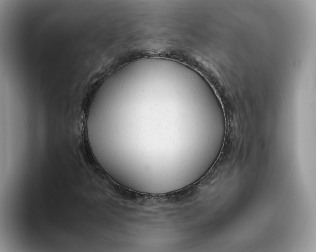 X0000093511349200711091714