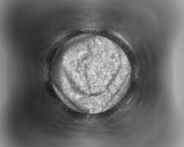 X0000093511350200711091713