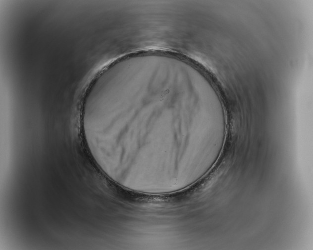 X0000093511359200711091713