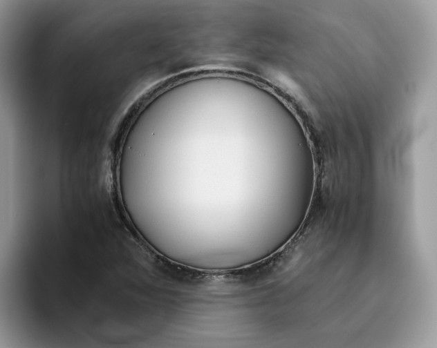 X0000093511360200711091713