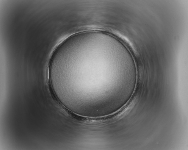 X0000093511365200711091713