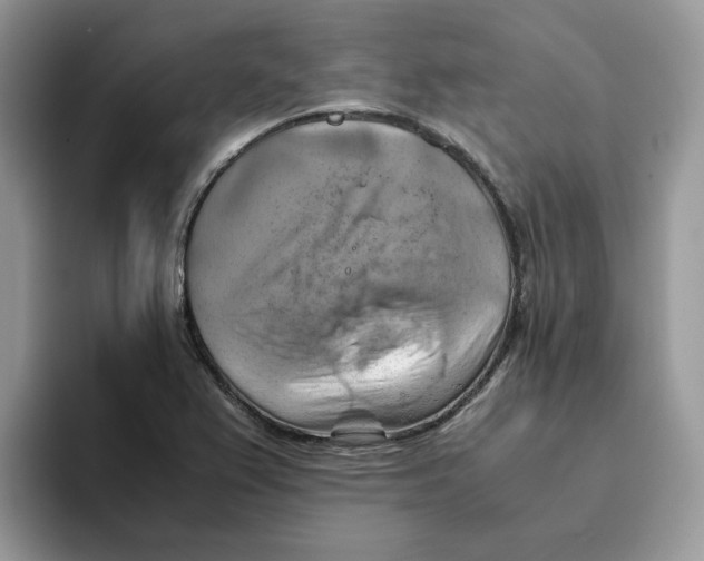 X0000093511367200711091713