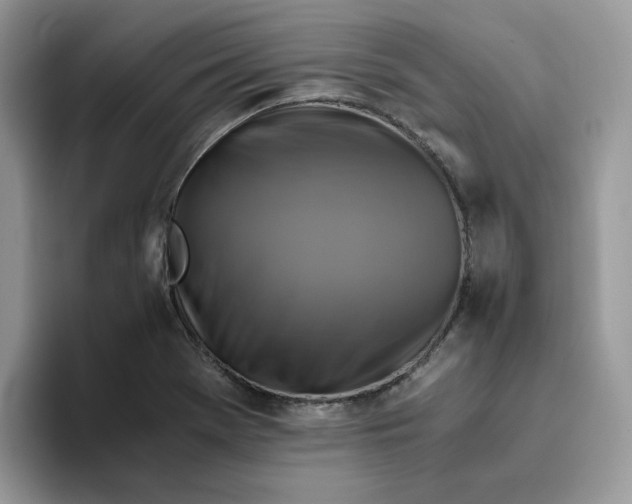 X0000093511369200711091713