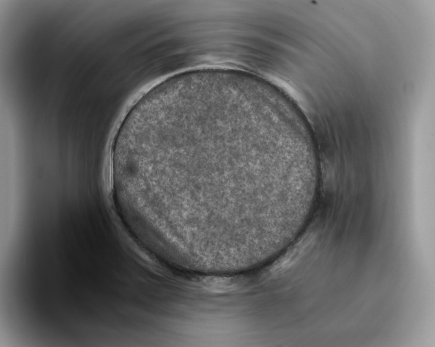 X0000093511371200711091713