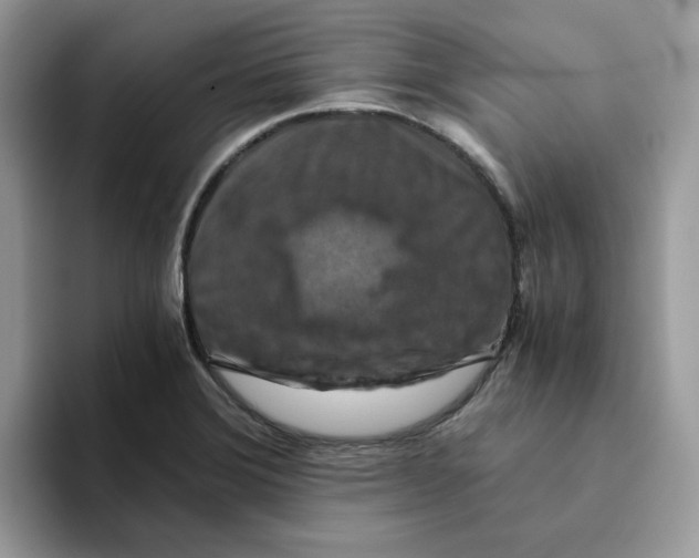 X0000093511372200711091713