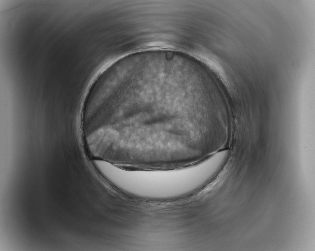 X0000093511373200711091713