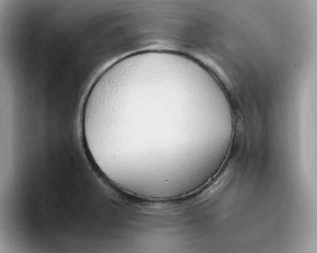 X0000093511375200711091713