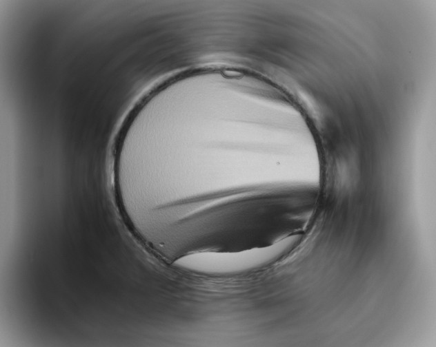 X0000093511376200711091713