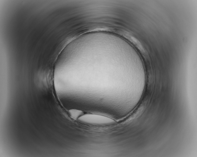 X0000093511377200711091713