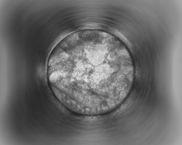 X0000093511378200711091713