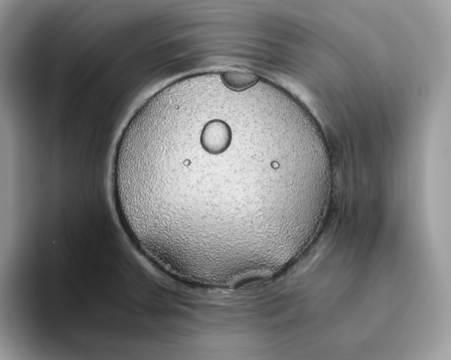 X0000093511379200711091713