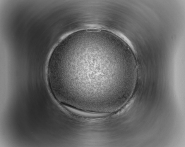 X0000093511381200711091713