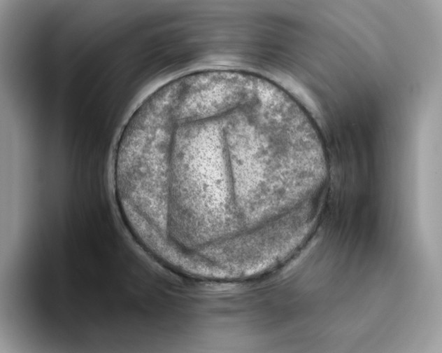 X0000093511382200711091713