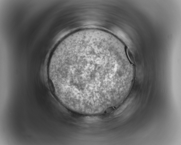 X0000093511384200711091713