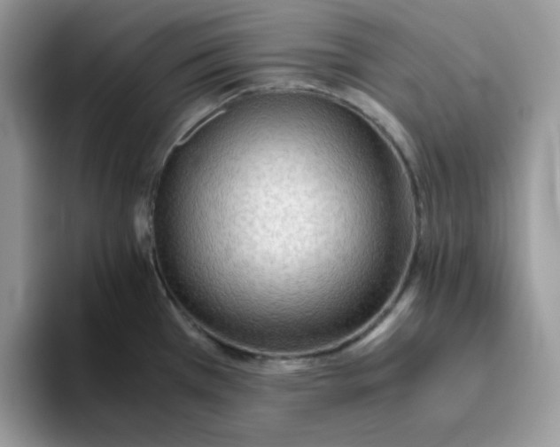 X0000093511385200711091713