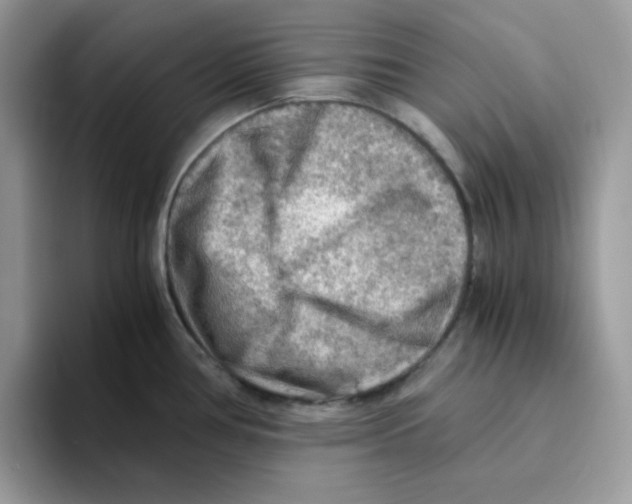 X0000093511386200711091713