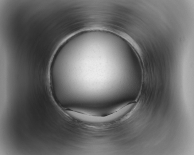 X0000093511388200711091713