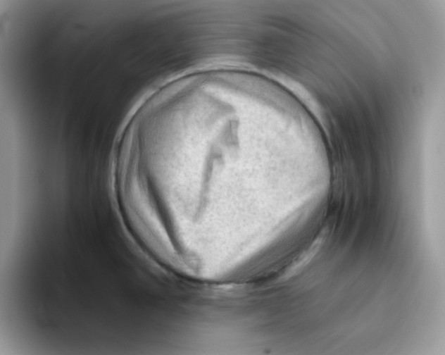 X0000093511390200711091713