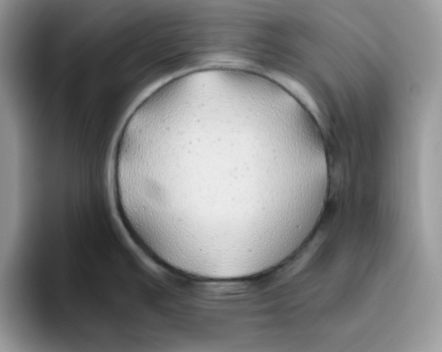 X0000093511391200711091713