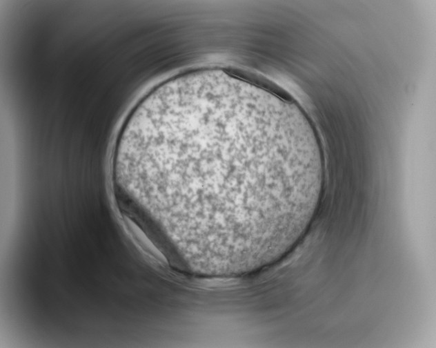 X0000093511392200711091713