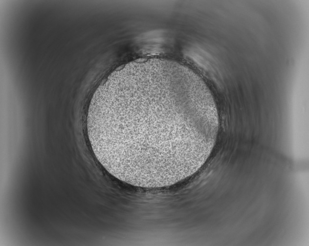 X0000093511393200711091712