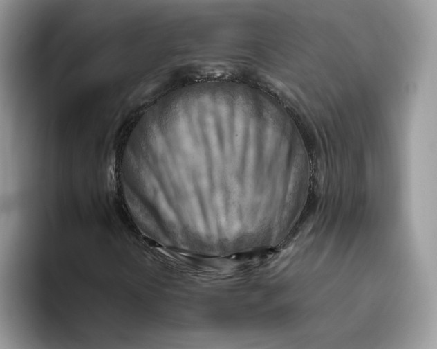 X0000093511394200711091712