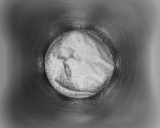 X0000093511396200711091712