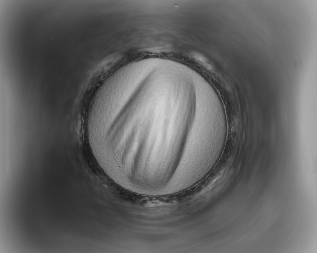 X0000093511398200711091713