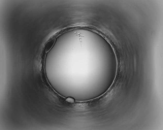 X0000093511406200711091713