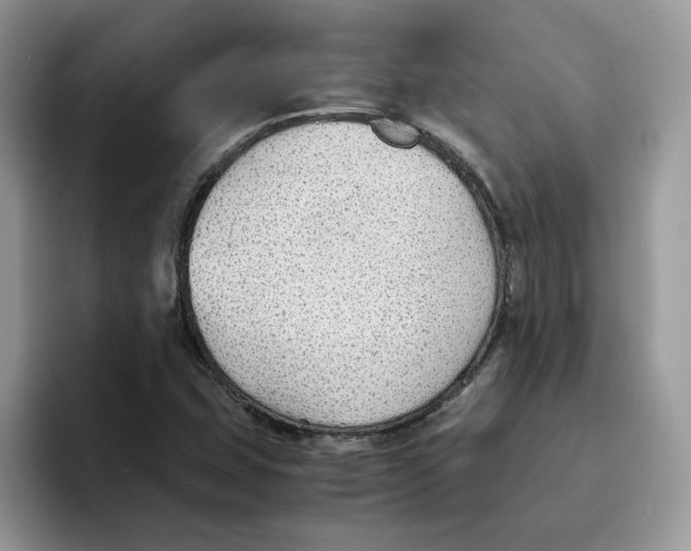 X0000093511407200711091713