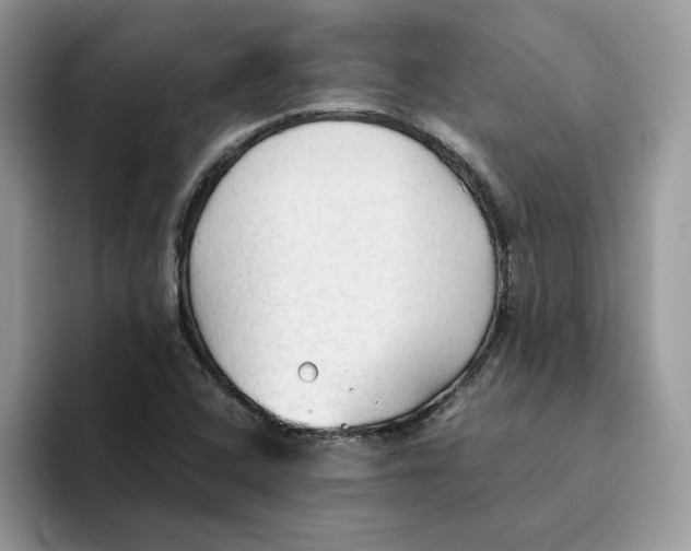 X0000093511408200711091713