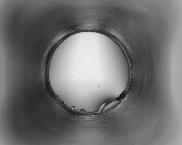 X0000093511410200711091713