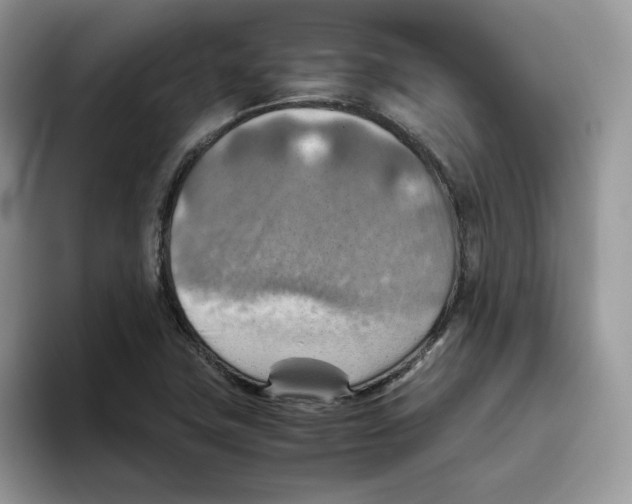 X0000093511411200711091713