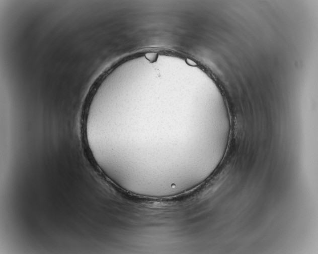 X0000093511412200711091713