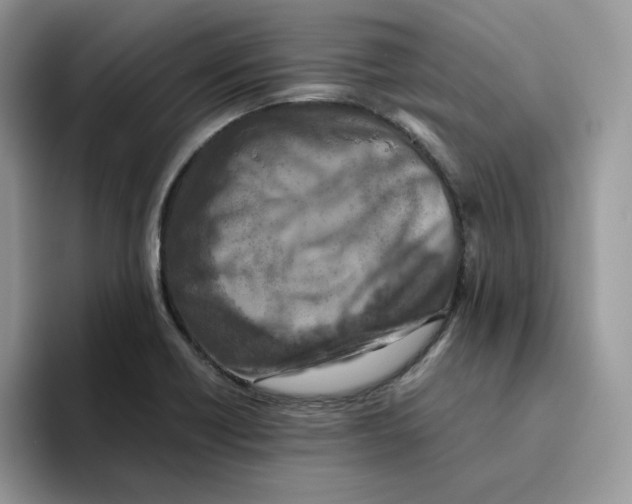 X0000093511418200711091713