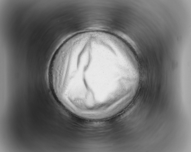 X0000093511423200711091713